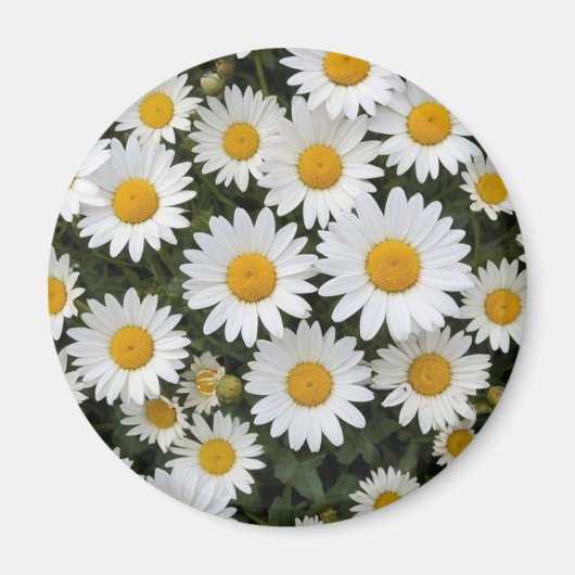 Daisies Magnet Magneet (Voorkant)