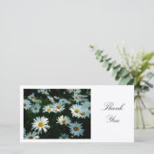 Daisies - Merci (Debout devant)