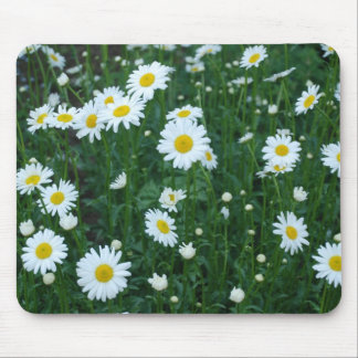 Daisies - Mousepad Muismat