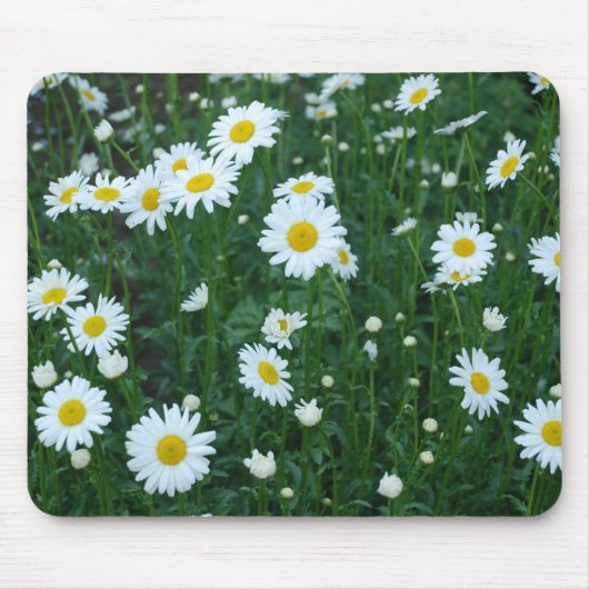 Daisies - Mousepad Muismat (Voorkant)