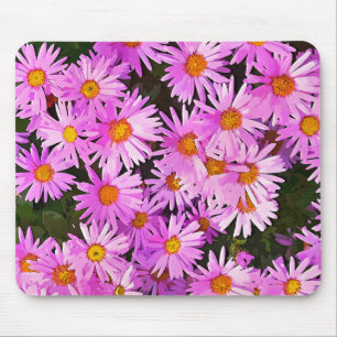 DAISIES MUISMAT