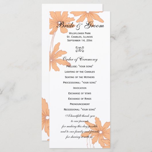 Daisies orange sur le programme de mariage blanc (Devant / Derrière)