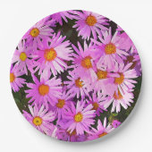 DAISIES PAPIEREN BORDJE (Voorkant)