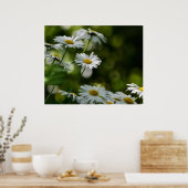 Daisies Poster (Keuken)