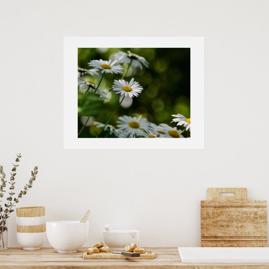 Daisies Poster (Keuken)