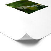 Daisies Poster (Hoek)