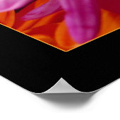 Daisies Poster (Hoek)