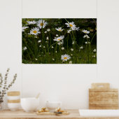Daisies print 1 (Keuken)