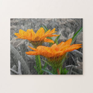 Daisies Puzzle Legpuzzel