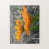 Daisies Puzzle Legpuzzel (Verticaal)