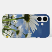 Daisies Reaching for the Sky Case-Mate iPhone Case (Achterkant (horizontaal))