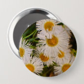 Daisies Ronde Button 4,0 Cm (Voorkant /achterkant)