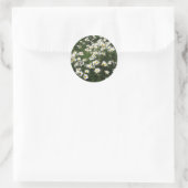Daisies Ronde Sticker (Tas)