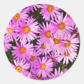 DAISIES RONDE STICKER (Voorkant)