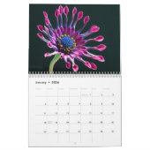 Daisies Wall Calendar Kalender (Jan 2026)