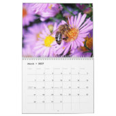Daisies Wall Calendar Kalender (Mar 2027)