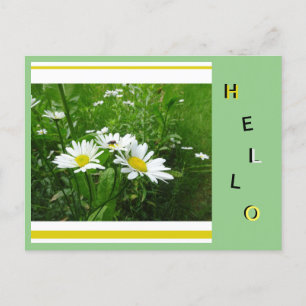 Daisies Wild Flowers Collage Cust. hallo Briefkaar Briefkaart