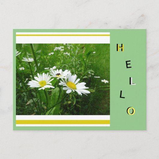 Daisies Wild Flowers Collage Cust. hallo Briefkaar Briefkaart (Voorkant)