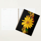 Daisy (Devant avec enveloppe)