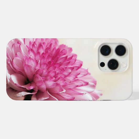 Daisy (Verso Horizontal)