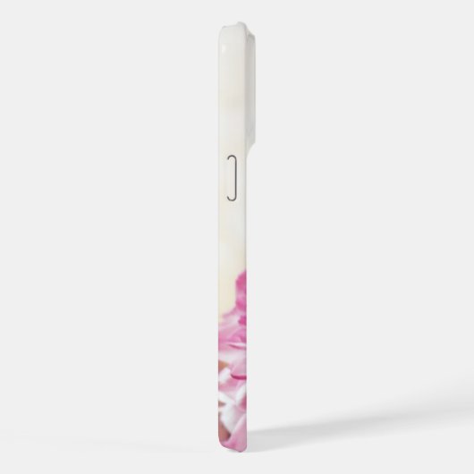 Daisy (Côté droit)