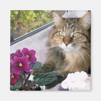 Daisy 4 magneet
