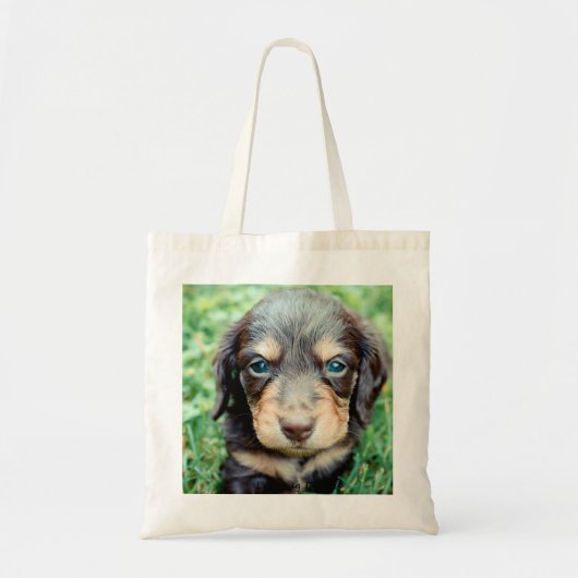 Daisy 4wks-Lovebug Doxies puppy Keepomwille Tote Bag (Voorkant)