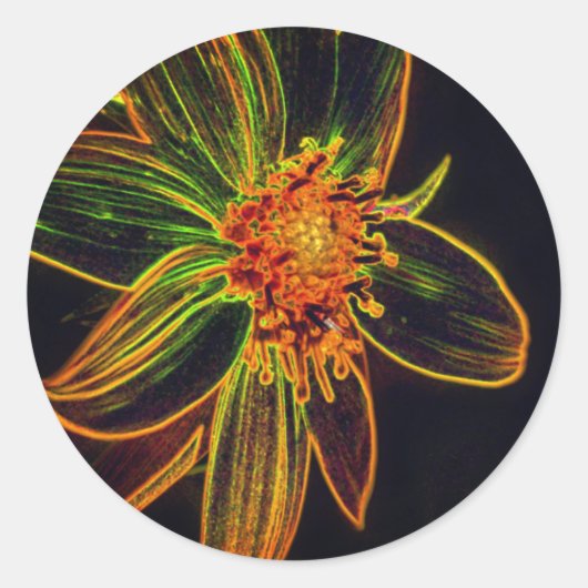 Daisy Abstract Flower Art Ronde Sticker (Voorkant)