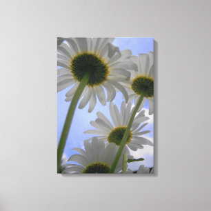 Daisy Abstract Uitzicht Black en White Wrapped Can Canvas Afdruk
