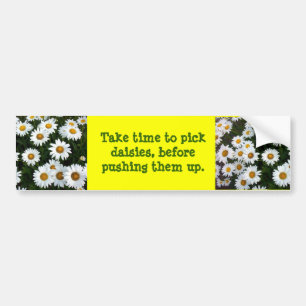 Daisy Advisory Bumpersticker