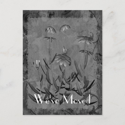 Daisy Art New Address Floral Briefkaart (Voorkant)