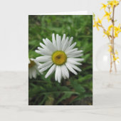 Daisy Birthday Card Kaart (Gele Bloem)