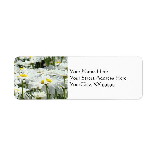 Daisy Bloemen Adresetiketten op maat Daisies Etiket (Voorkant)
