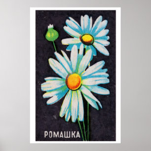Daisy Bloemen - Luciferdoosje Afdruk - Esthetische Poster