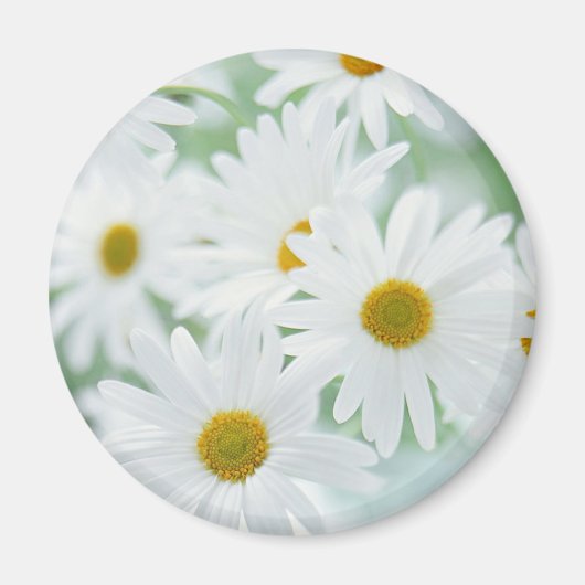 Daisy bloemen magneet (Voorkant)