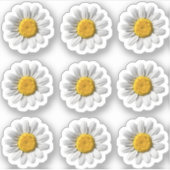 Daisy Bloemen Witte Bloem Blossom Sticker (Voorkant)