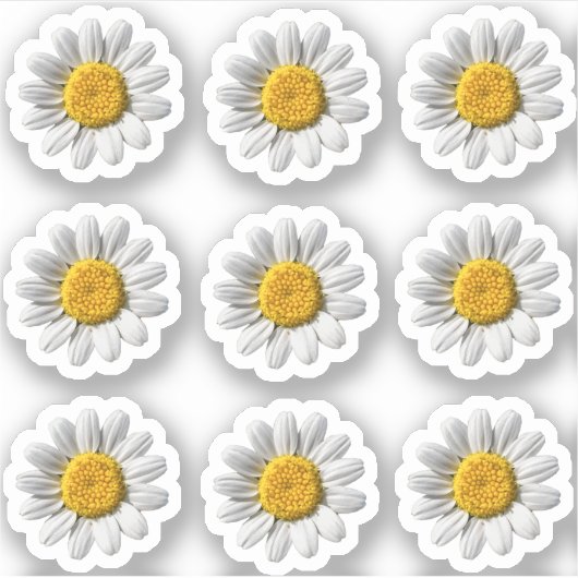 Daisy Bloemen Witte Bloem Blossom Sticker (Voorkant)