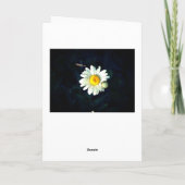 Daisy Blossom Carte de voeux Anniversaire (Dos)