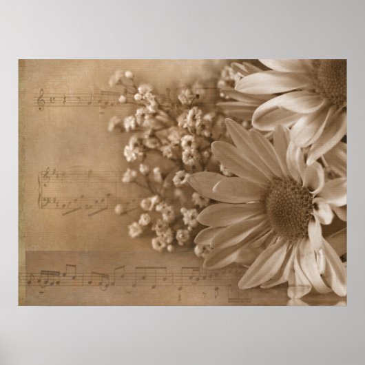 Daisy Bouquet over muziek Poster (Voorkant)