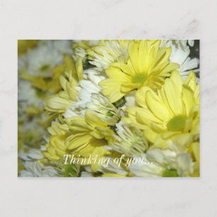 Daisy Bouquets denken aan je Briefkaart