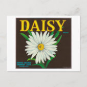 Daisy Brand Citrus Crate Label Briefkaart (Voorkant)