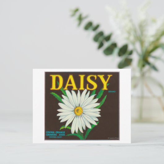 Daisy Brand Citrus Crate Label Briefkaart (Staand voorkant)