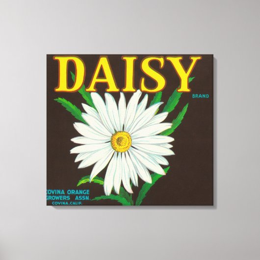 Daisy Brand Citrus Crate Label Canvas Afdruk (Voorkant)