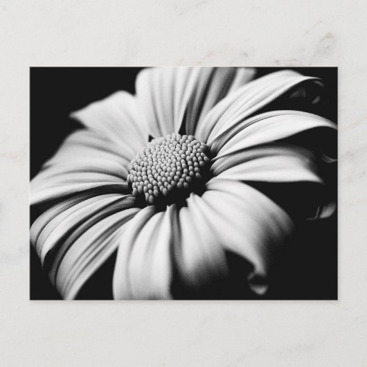 Daisy Briefkaart (Voorkant)