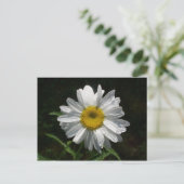 Daisy Briefkaart (Staand voorkant)