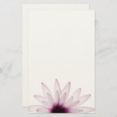 Daisy Briefpapier (Voorkant / Achterkant)