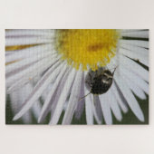 "Daisy & Bumblebee Puzzle - La petite harmonie de (Horizontal)