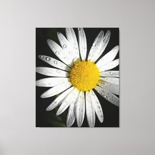 Daisy Canvas Afdruk (Voorkant)