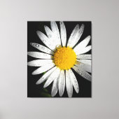 Daisy Canvas Afdruk (Voorkant)