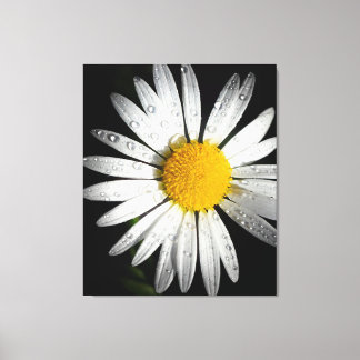 Daisy Canvas Afdruk